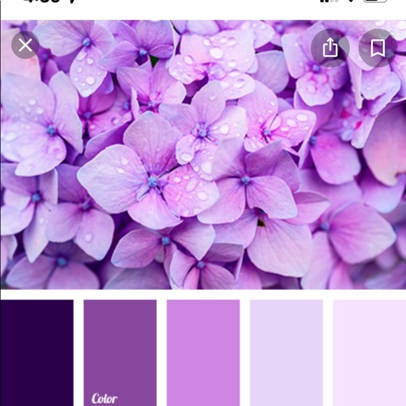 Columbia magenta jacket - Picture 7 of 8